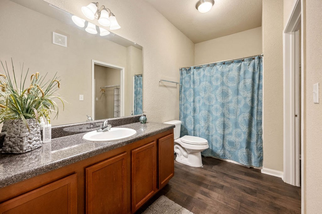 A bathroom with a toilet, sink, and shower curtain.
