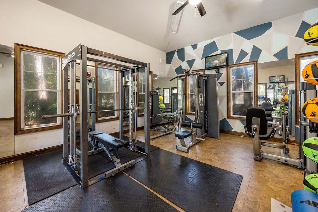 A gym with a variety of equipment including a squat rack, bench, and weights.