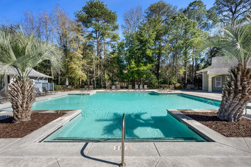 A swimming pool surrounded by palm trees and a house in the background.