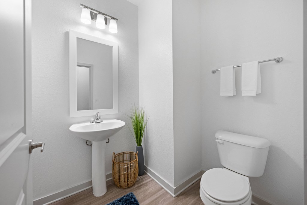 a bathroom with a toilet and a sink and a mirror