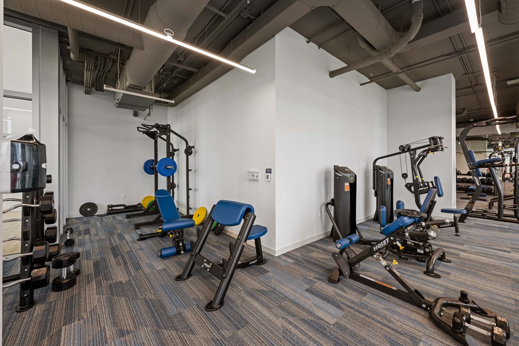 a photo of the exercise room in the health and wellness building at penn state behrend