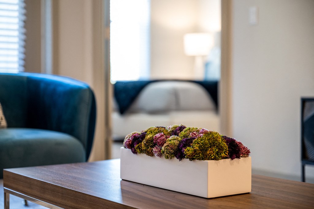 planter on coffee table in living room