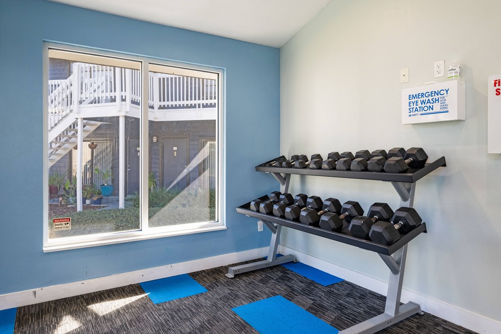 a fitness room with cardio equipment and a window