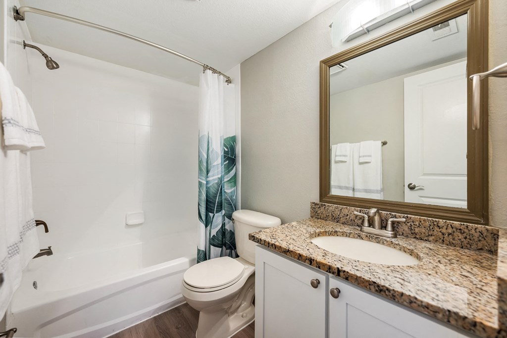 a bathroom with a shower toilet and sink and a mirror