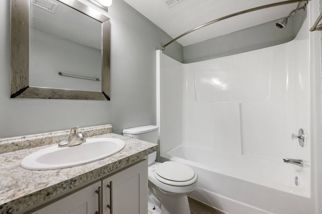 a bathroom with a sink and a toilet and a mirror