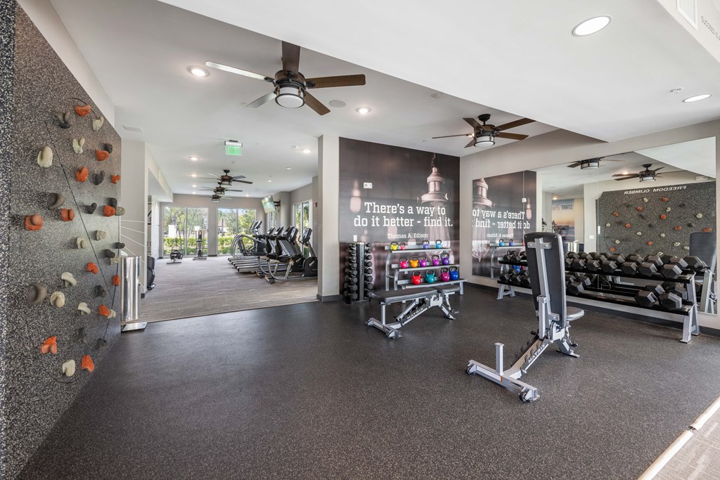 a gym with a rock climbing wall and weights on the wall
