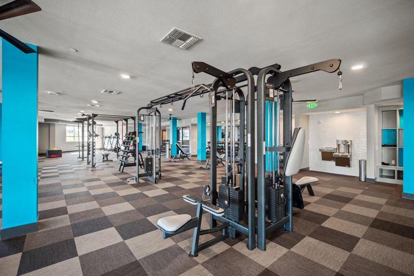 The District At Scottsdale