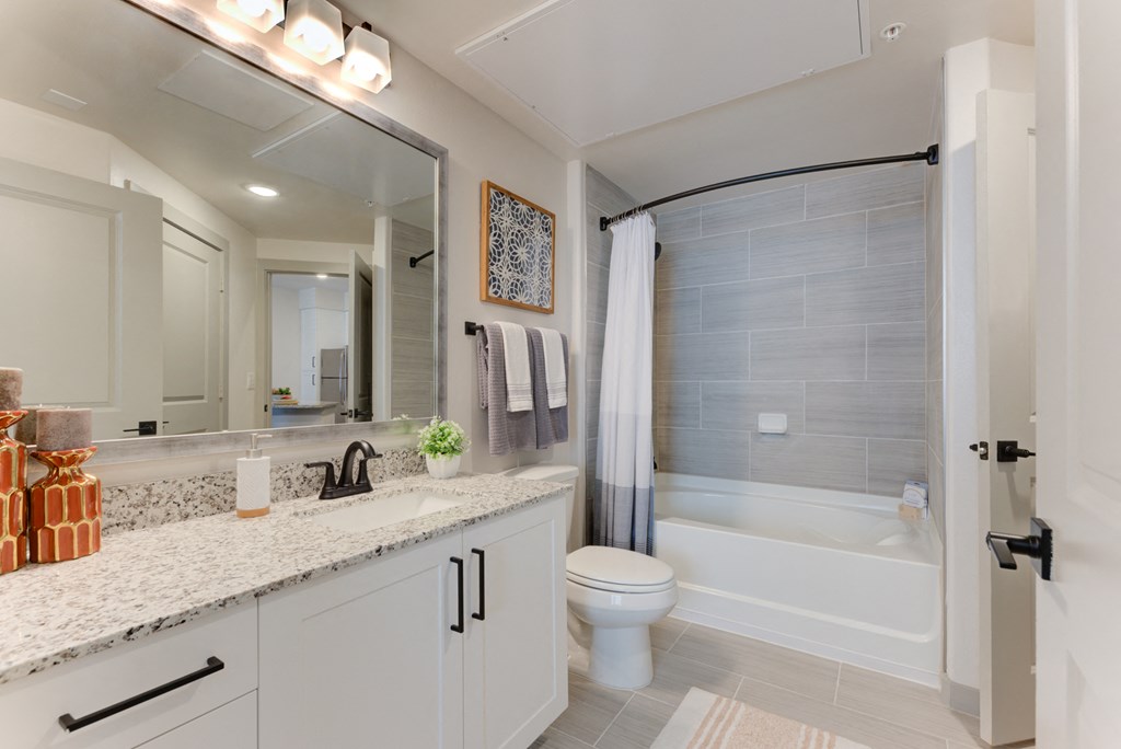 a bathroom with a shower toilet and sink and a mirror