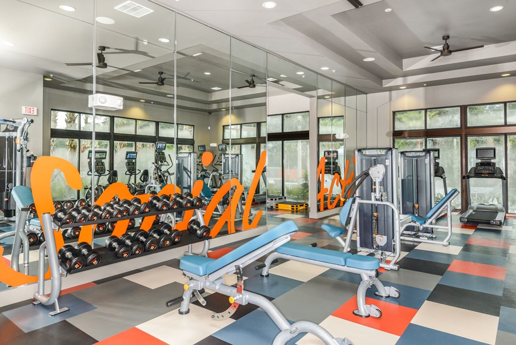 A gym with orange and blue equipment.