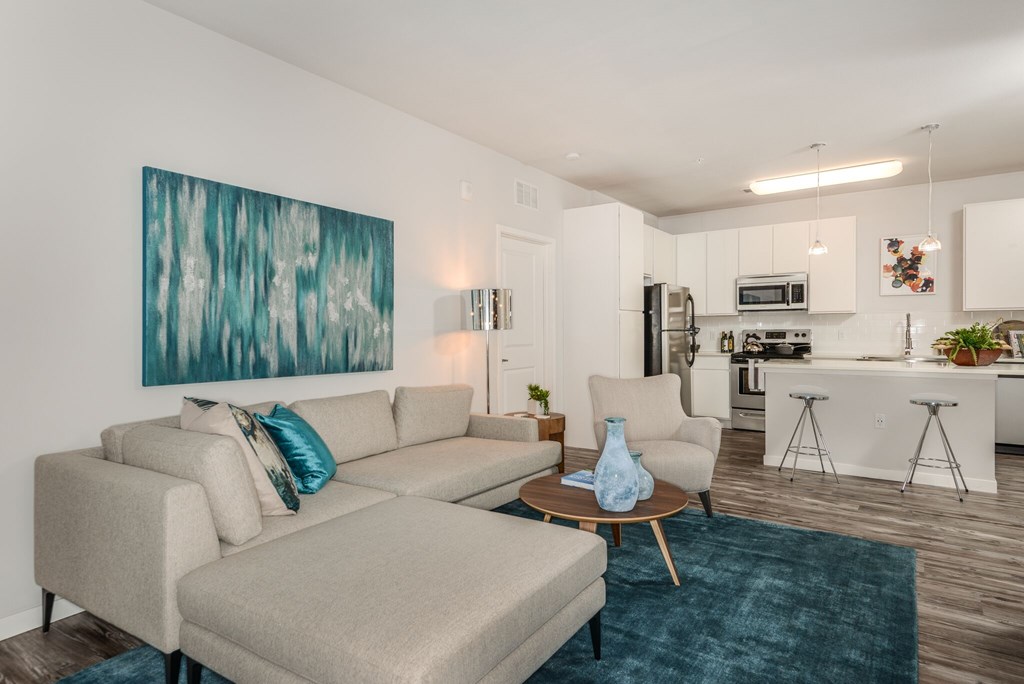 A living room with a grey couch and a blue rug.