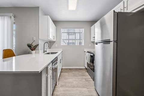 A modern kitchen with a large refrigerator and a countertop with a plant on it.