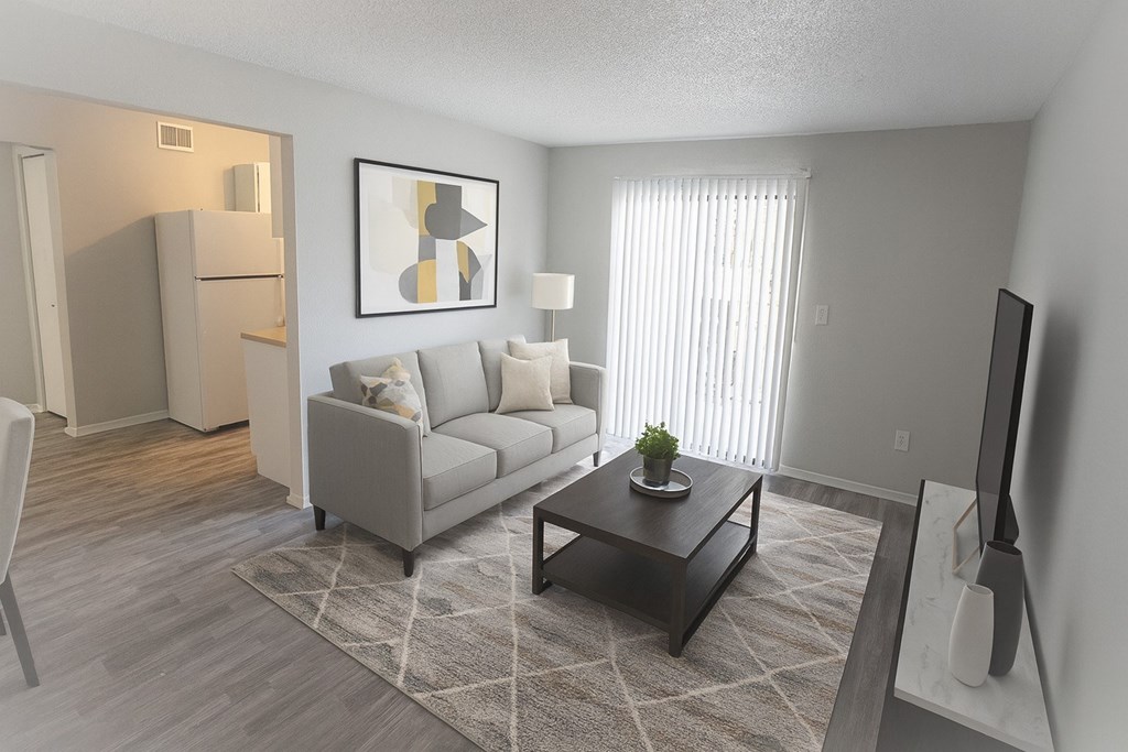 A living room with a grey couch, a coffee table, and a television.