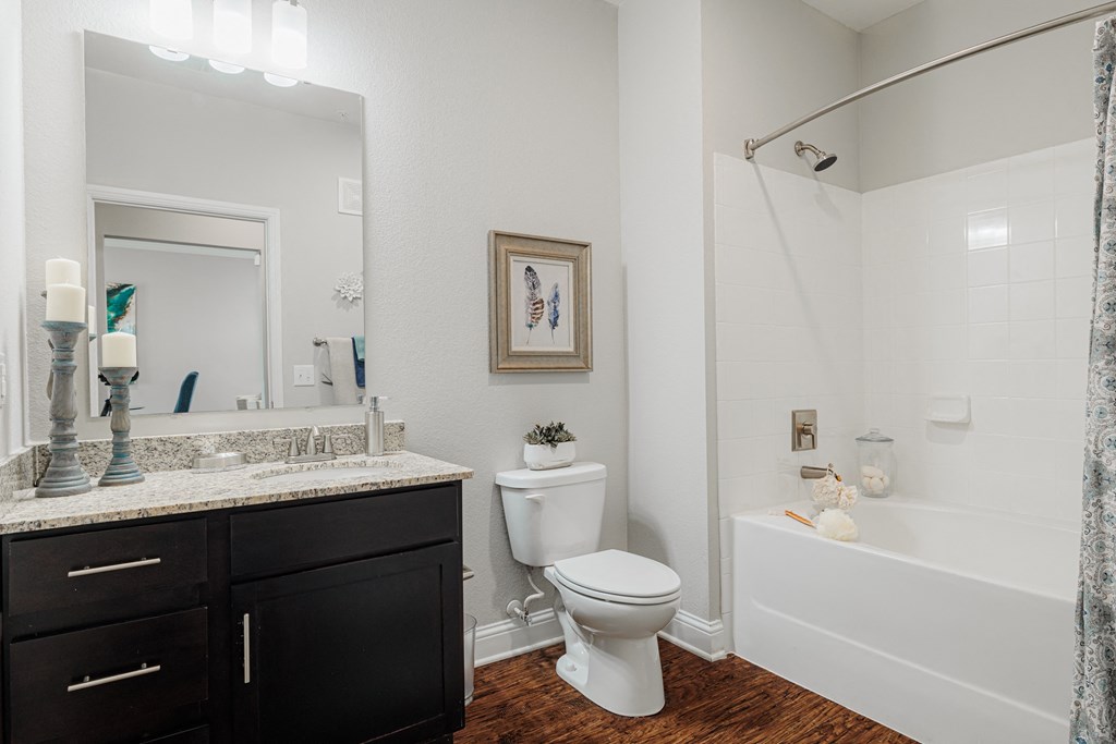 a bathroom with a shower toilet and sink and a mirror