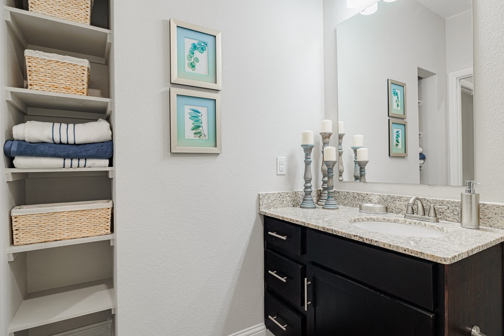 a bathroom with a sink and a mirror and a closet