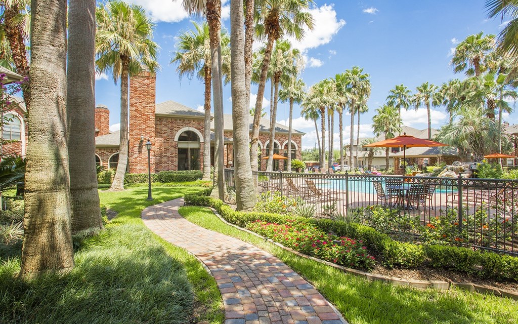a pathway leading to a swimming pool with palm trees