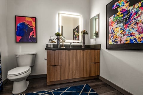 a bathroom with a toilet and a vanity with a mirror