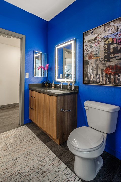 a bathroom with blue walls and a toilet and a sink
