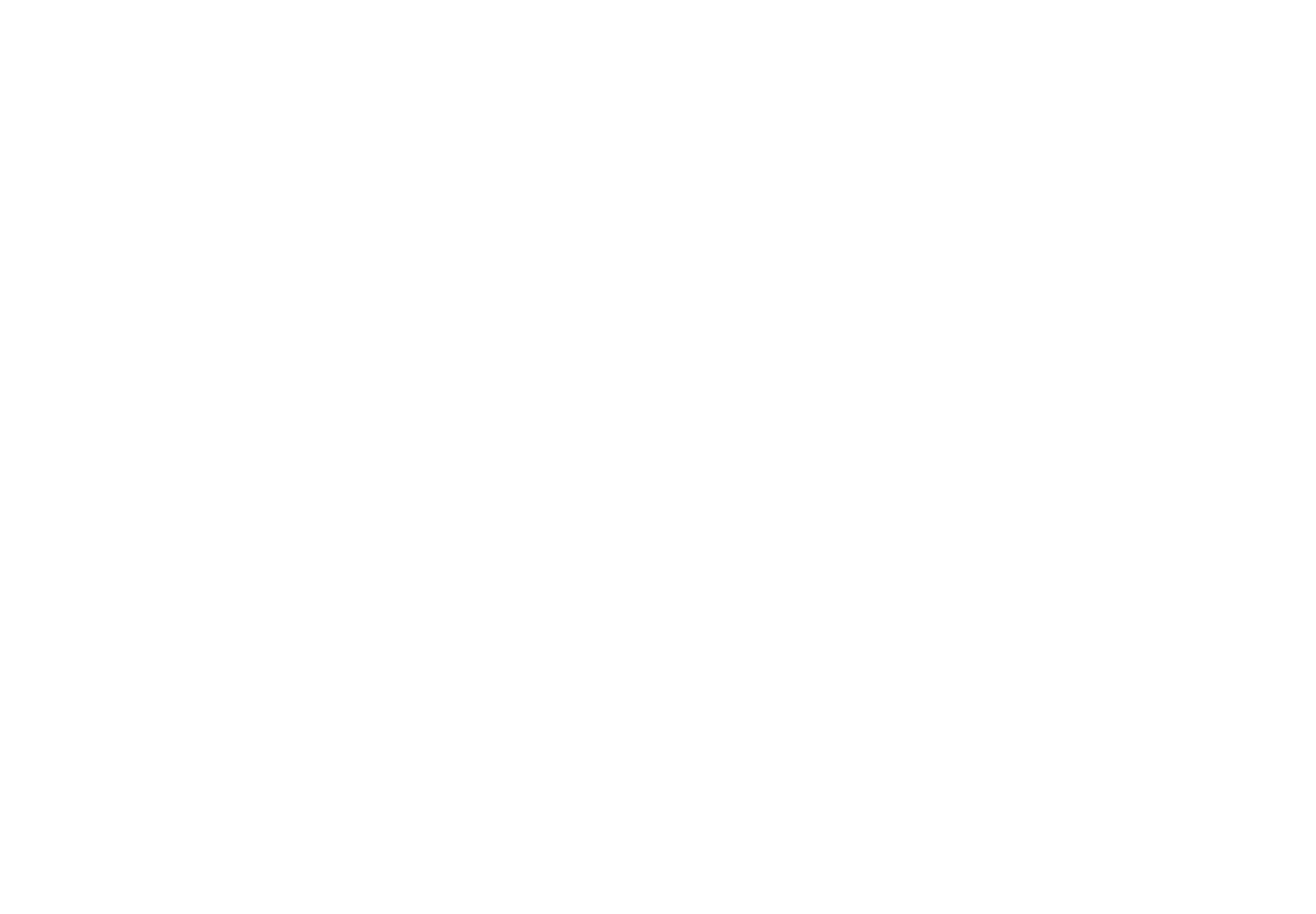 the logo for everison with a green background and white
