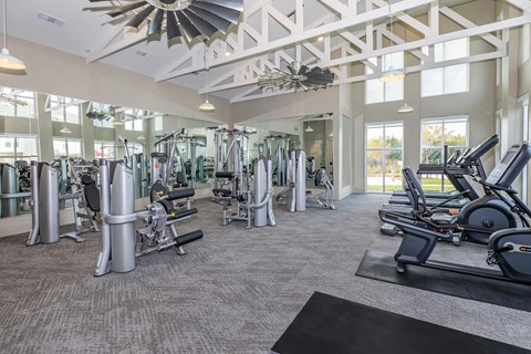 A gym with a variety of equipment including treadmills, weights, and exercise machines.