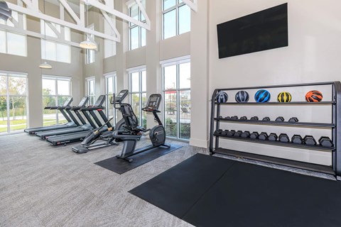 A gym with treadmills, exercise bikes, and a rack of basketballs.