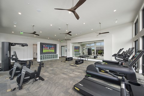 A gym with treadmills, elliptical machines, and other exercise equipment.