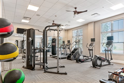 A gym with a variety of equipment including treadmills, stationary bikes, and weight machines.