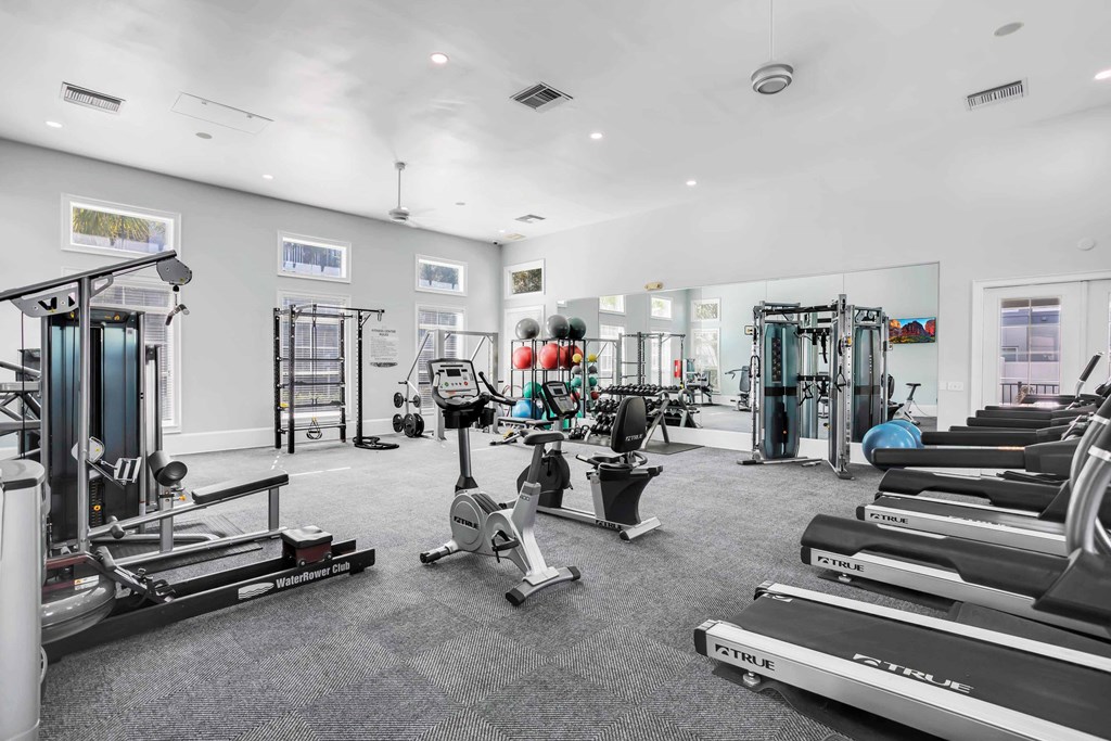 the gym is equipped with cardio equipment and weights