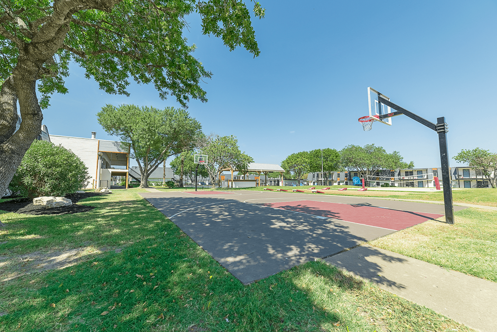 a basketball court at the center of a park with trees and a playground