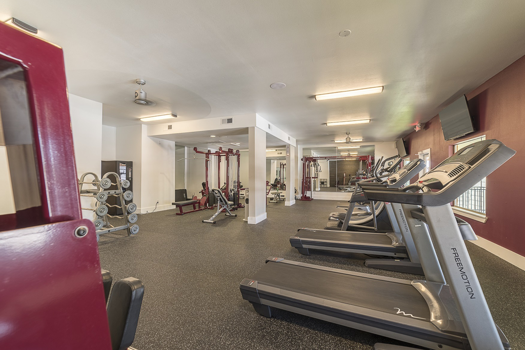 a gym with treadmills and other exercise equipment in a hall with a window