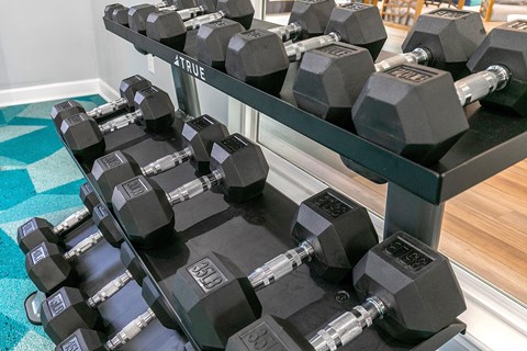 A set of black dumbbells are on a rack.