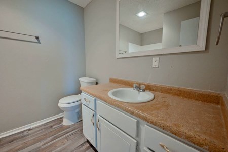 A bathroom with a toilet, sink, and mirror.