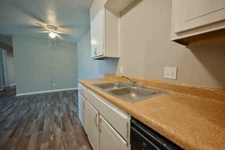 A kitchen with a sink and cabinets.