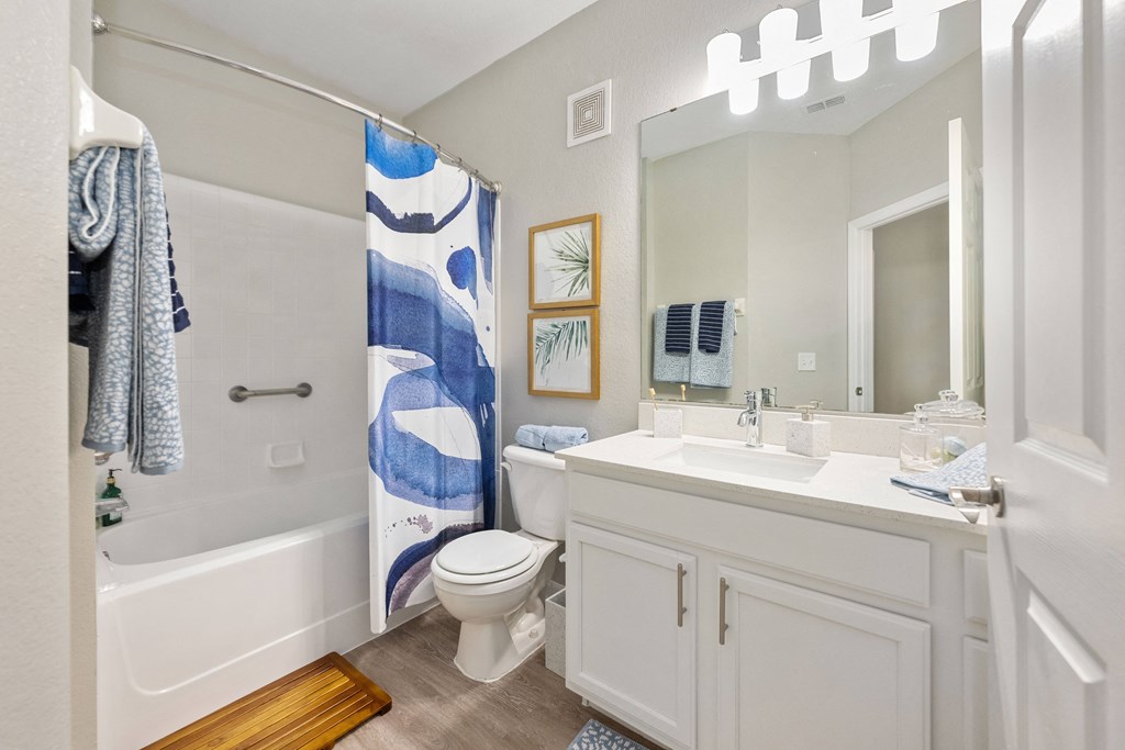 a bathroom with a shower toilet and sink and a mirror