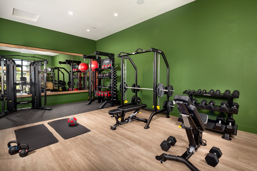 A gym with a green wall and a variety of equipment.