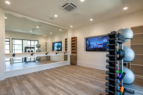 A room with a row of exercise balls and a row of dumbbells.