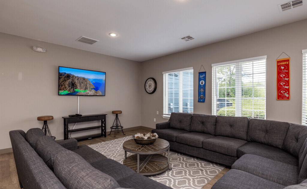a living room with two couches and a tv
