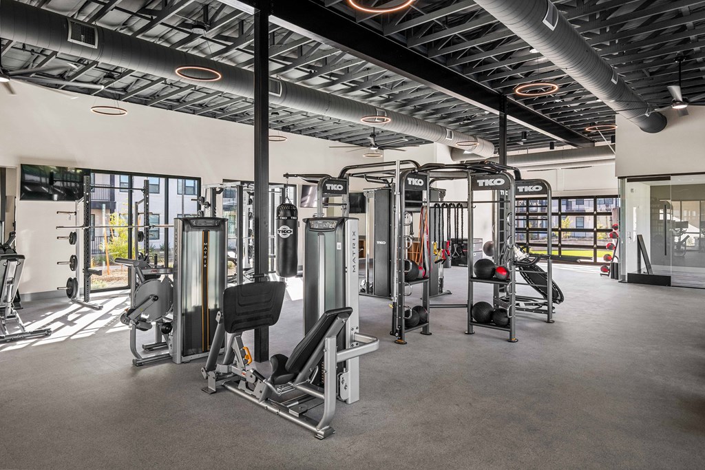 A gym with a variety of equipment including treadmills and weights.