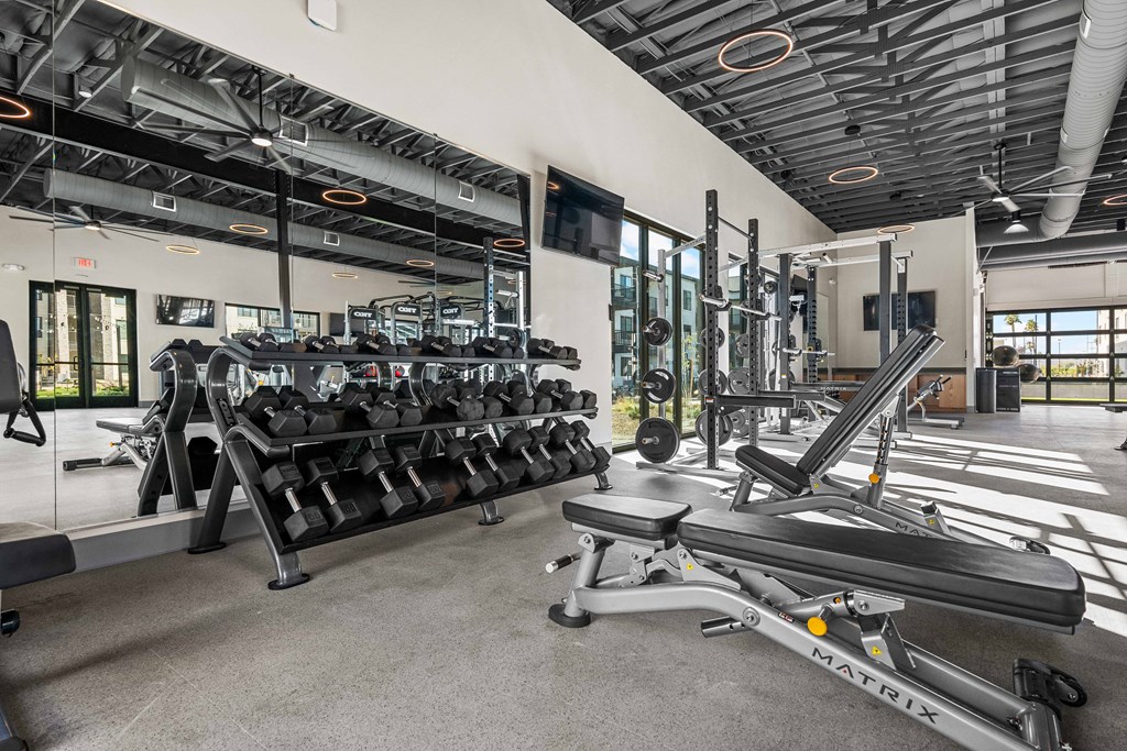 A gym with a variety of equipment including a treadmill, weights, and a bench press.