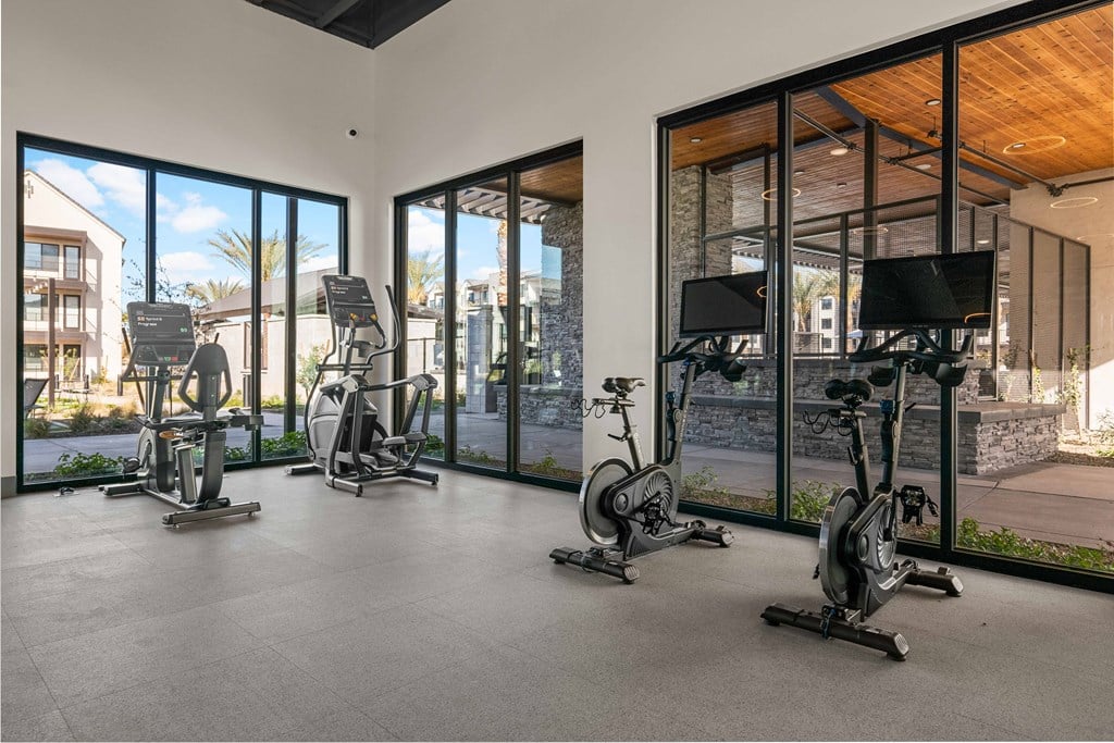 A gym with a row of stationary bikes and a treadmill.