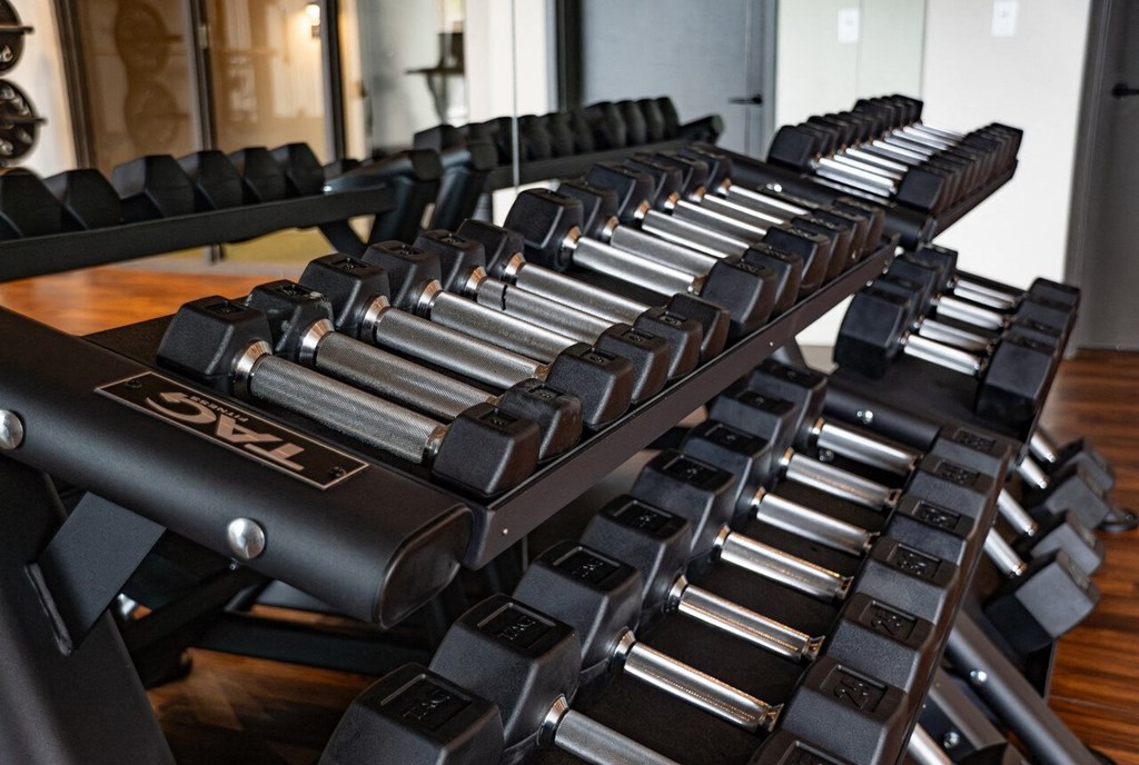 a row of weights machines in a gym