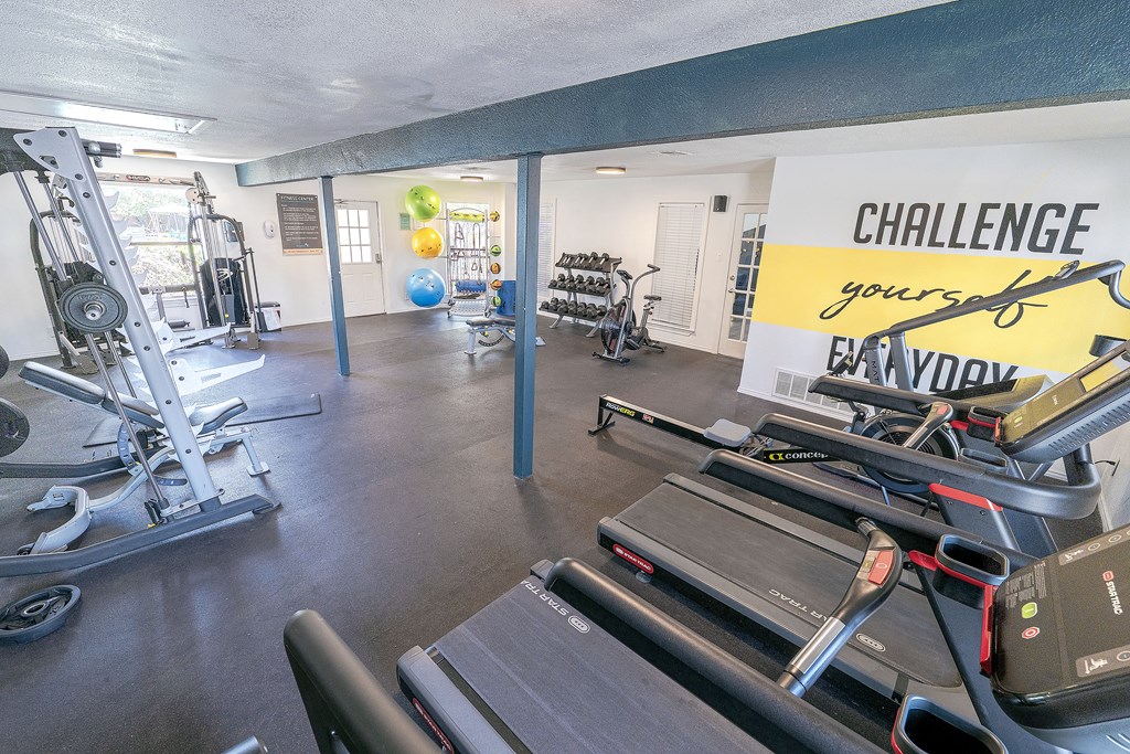 A gym with a treadmill, weights, and exercise balls.