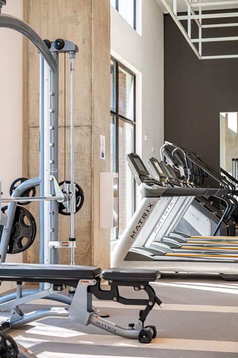 A gym with a weight machine and a rowing machine.