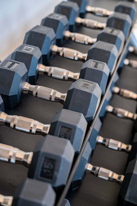 A row of dumbbells with blue and black coloring.