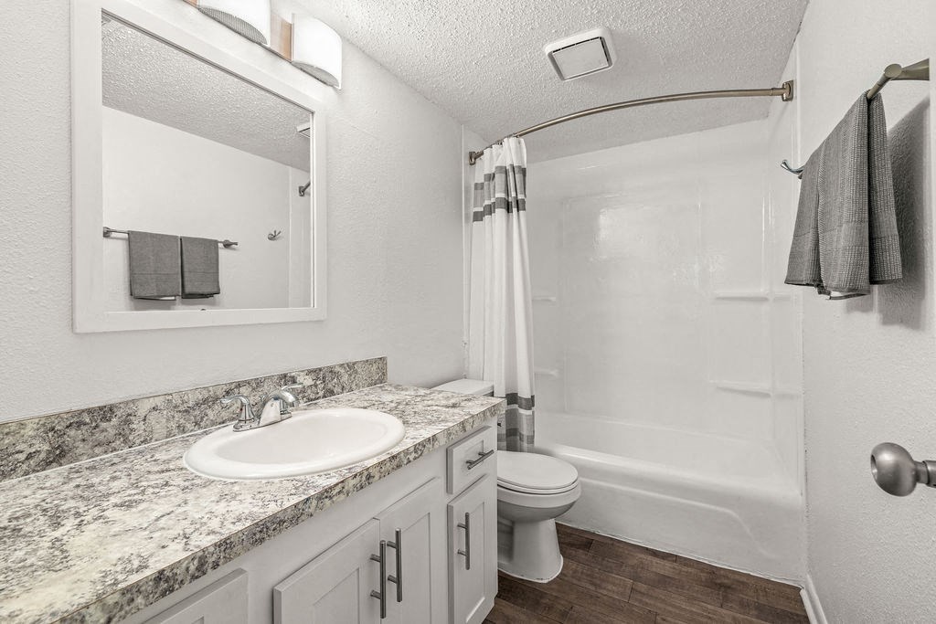 a bathroom with a sink and a toilet and a shower