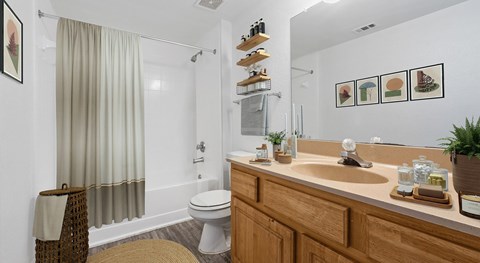 A bathroom with a toilet, sink, and shower.