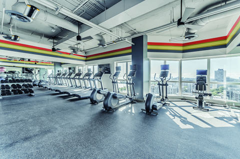 A gym with treadmills and elliptical machines.