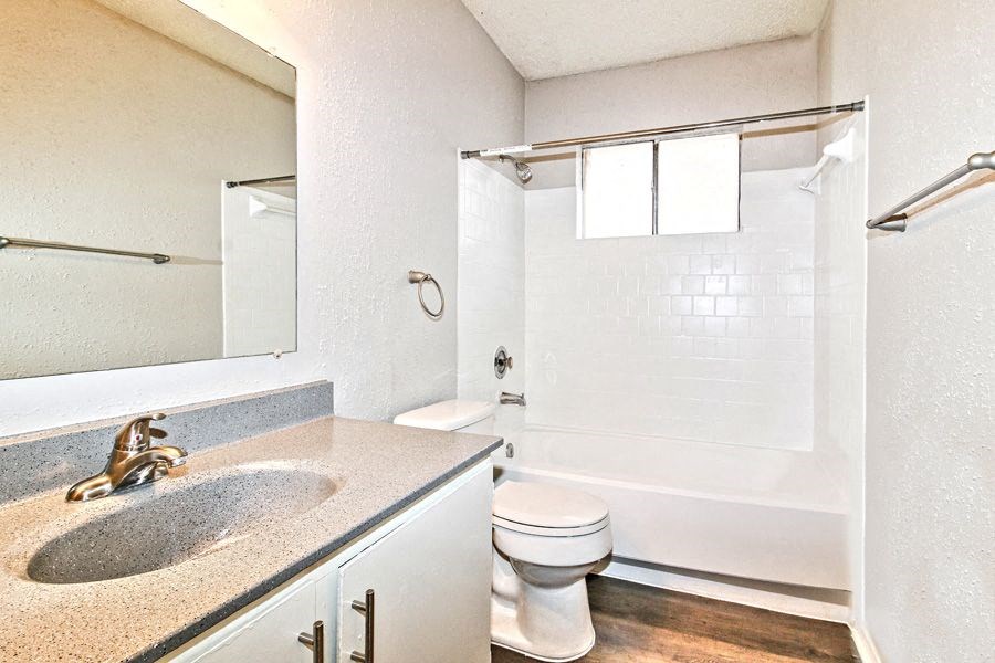 a bathroom with a sink and a toilet and a shower