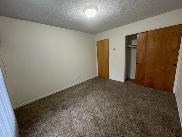 an empty living room with carpet and a door to a closet