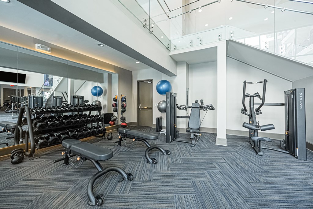 A gym with a variety of equipment including treadmills, weights, and exercise balls.