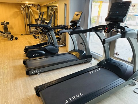 A gym with treadmills and other exercise equipment.
